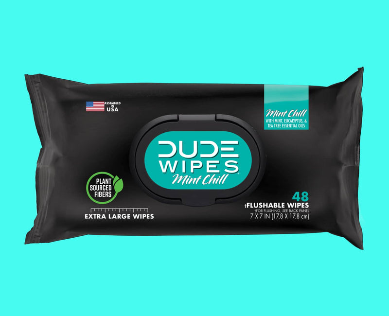 DUDE Wipes Mint Chill package of 48 wipes