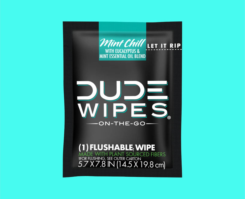 Dude Wipes Wipes On the Go Flushable Wipes 30 Packets 